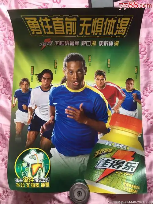 领域的项目